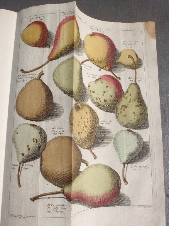 Rare 18th century Dutch book on apples and pears by Johann Hermann Knoop