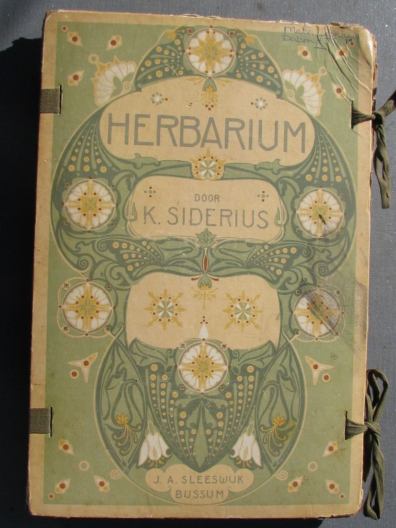 Art nouveau Herbarium by Siderius 1900-1