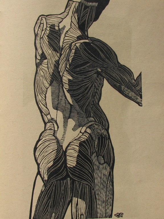 Book with anatomical studies by Reyer Stolk